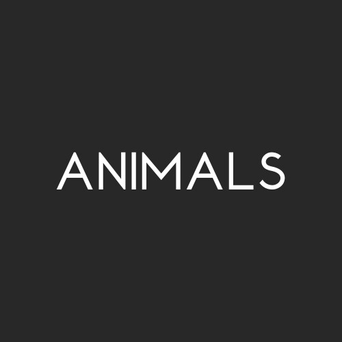 Animals