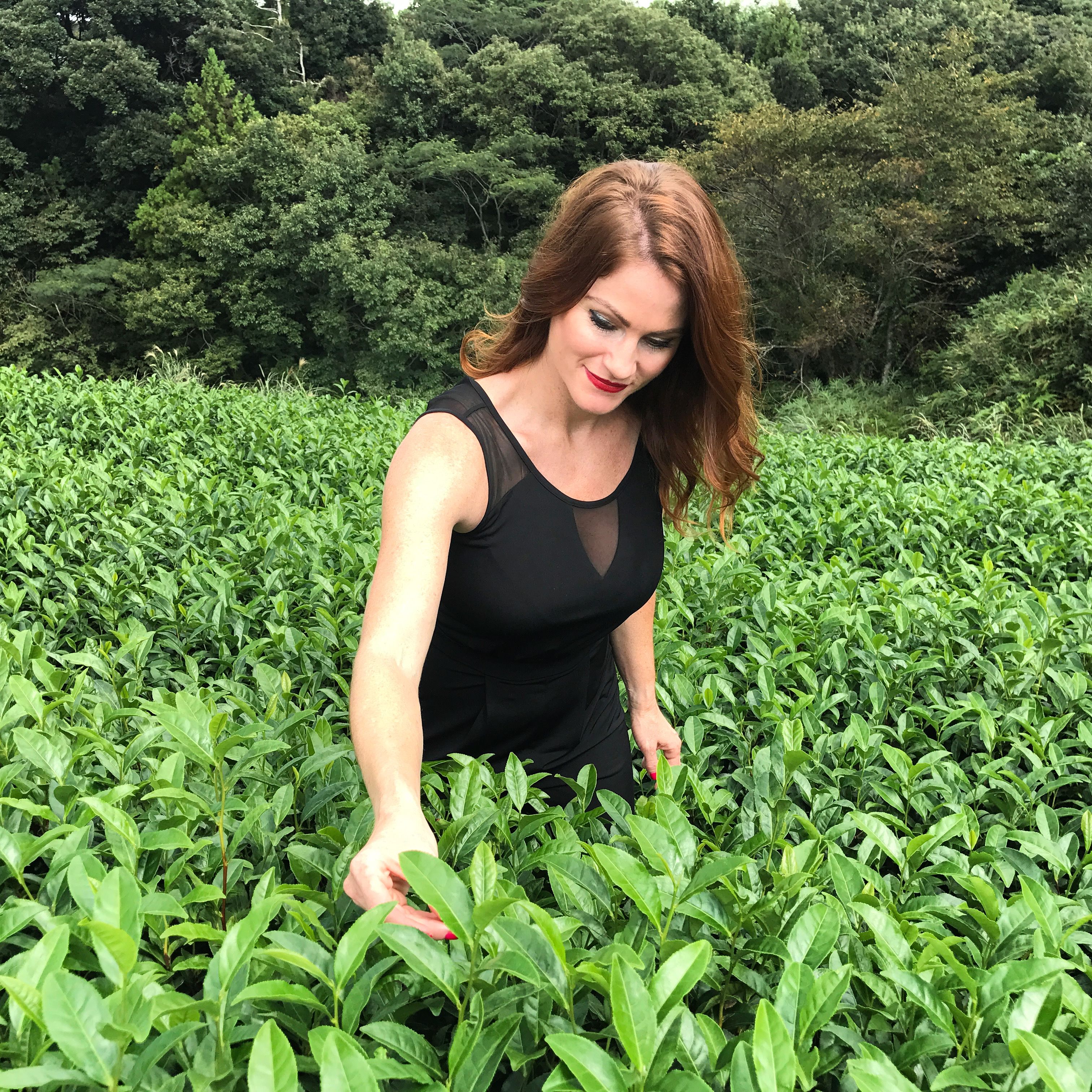 Matcha Mix/ Match & Save