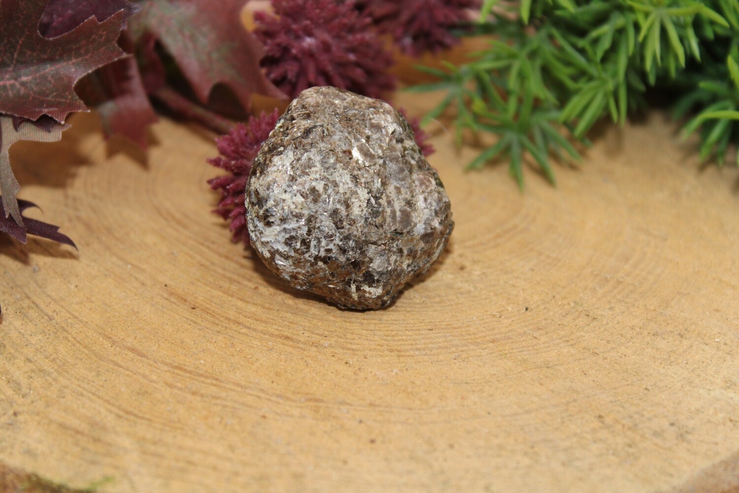 Biotit Linse