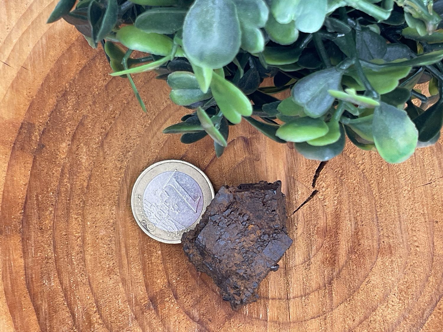 Goethit nach Pyrit gebohrt