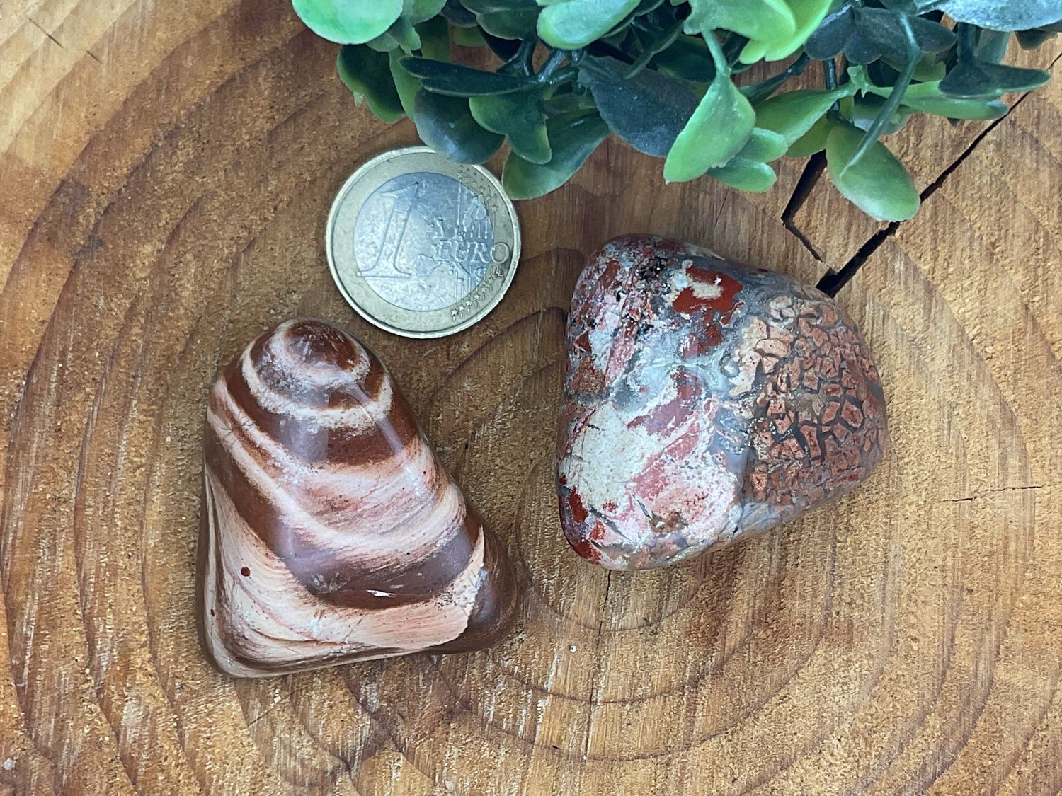 Brekzienjaspis (Jaspis)