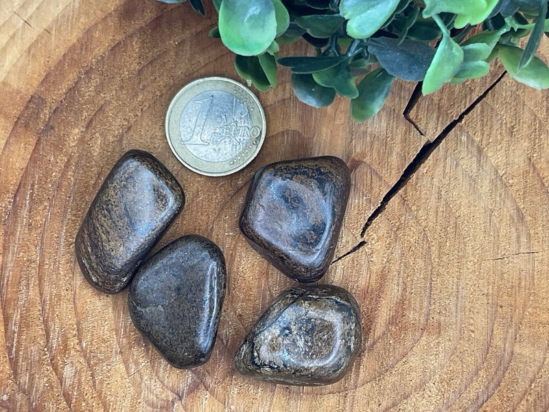 Bronzit(Ferro-Enstatit)