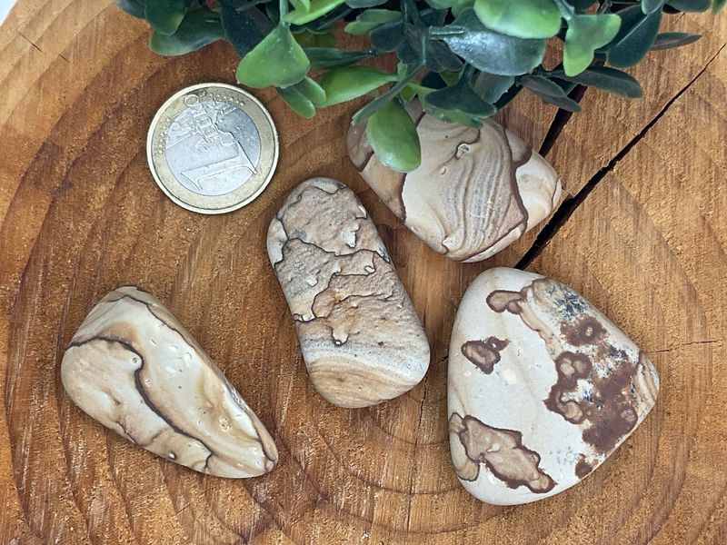 Landschaftsjaspis(Jaspis)