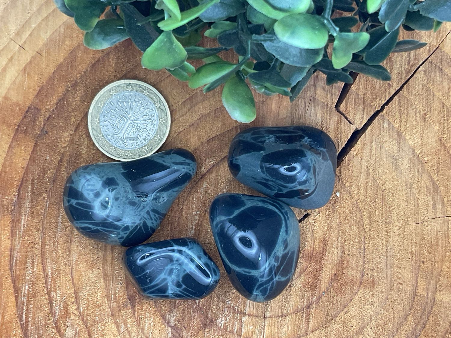 Spiderwebobsidian(Obsidian)