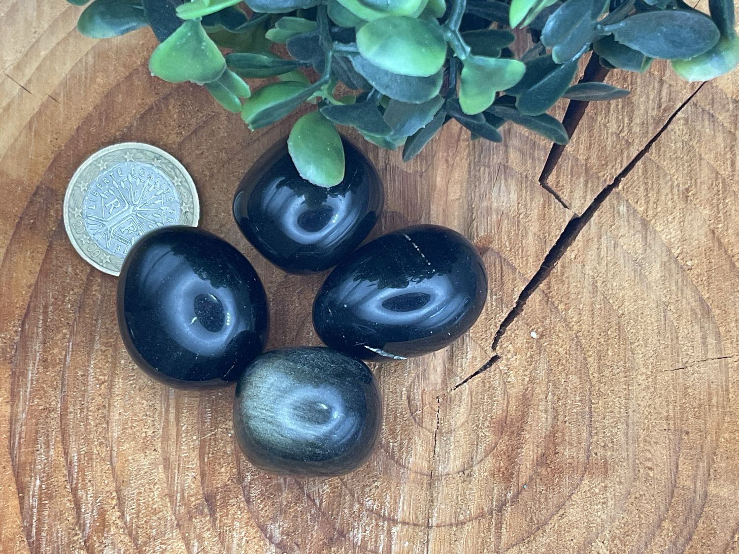 Goldobsidian(Obsidian)