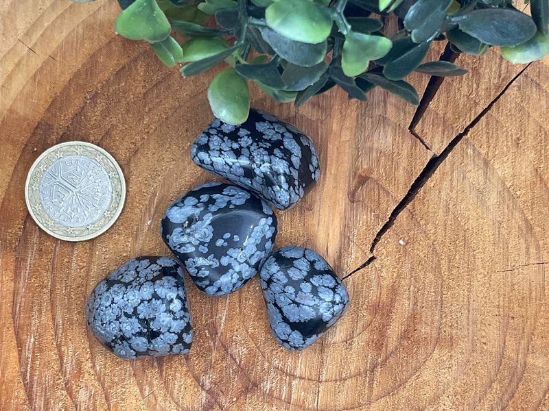 Schneeflockenobsidian(Obsidian)