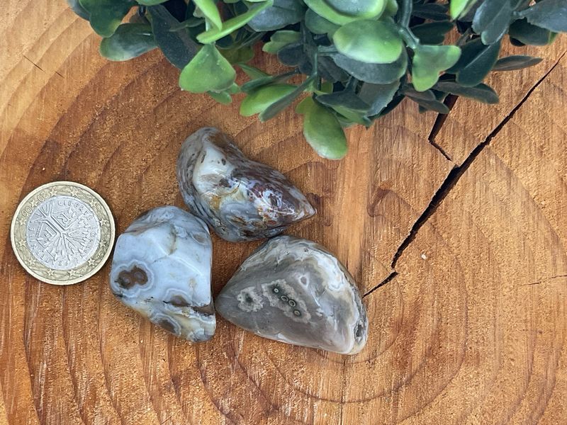 Ozeanchalcedon(Chalcedon)