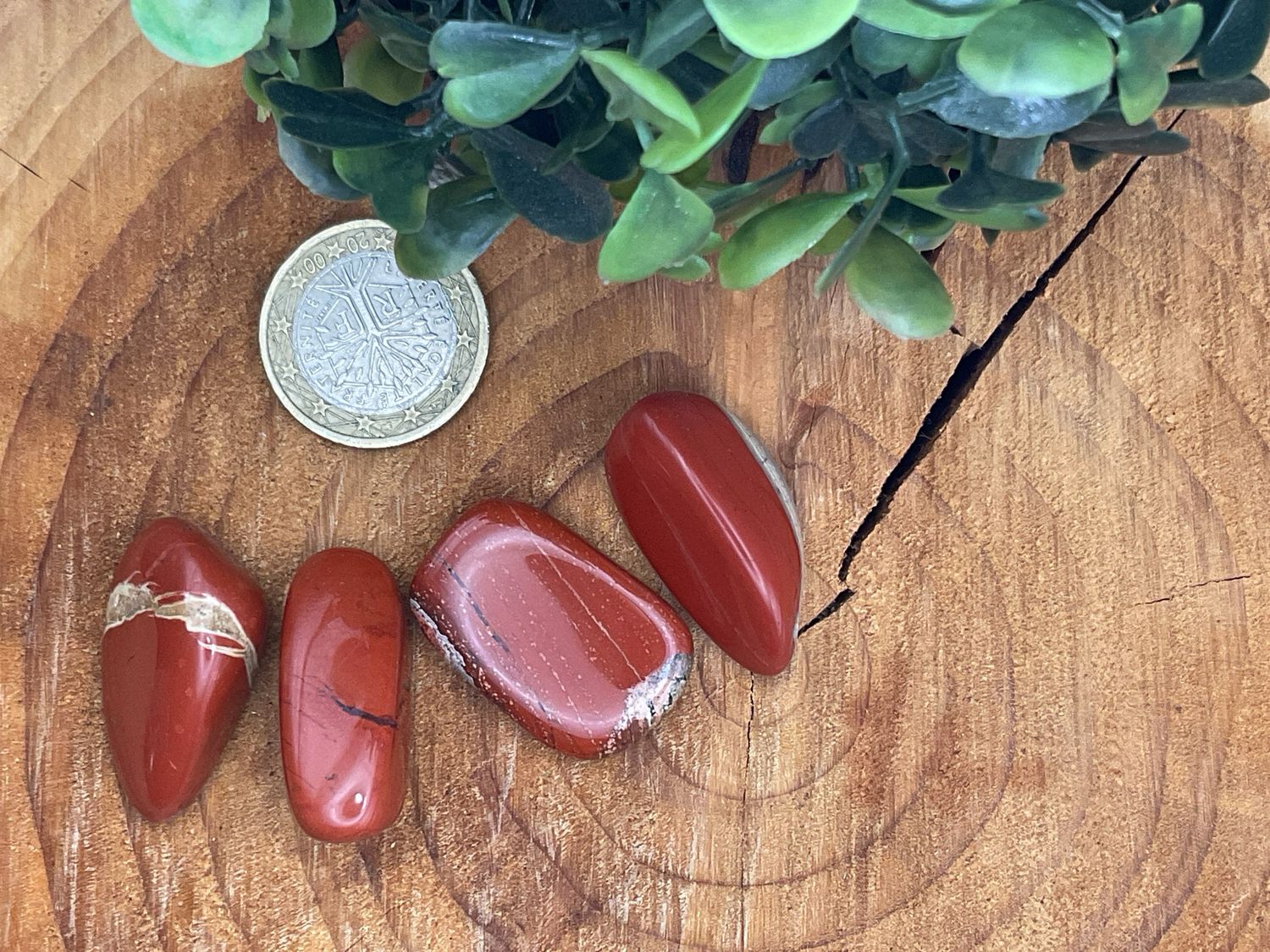 Jaspis rot