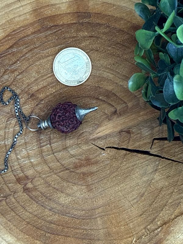Rudraksha Pendel