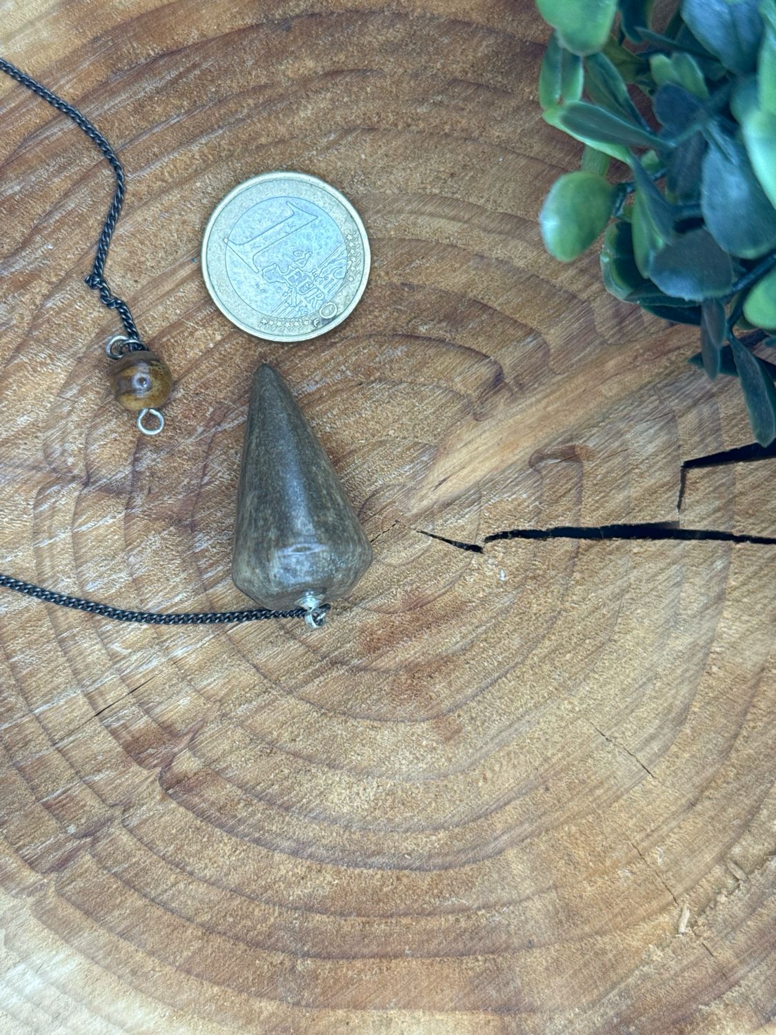 Pendel Versteinertes Holz