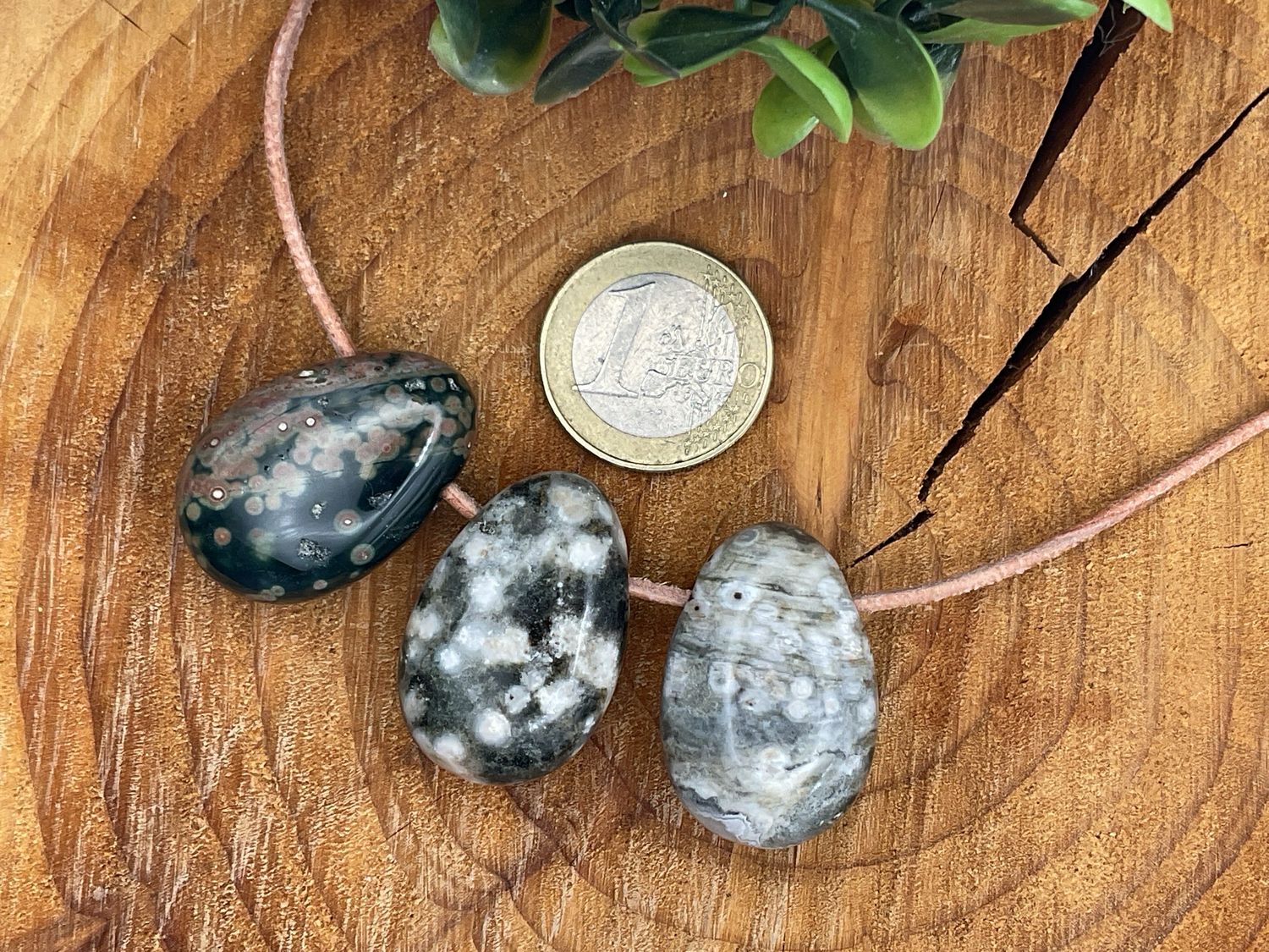 Ozeanchalcedon (Chalcedon)