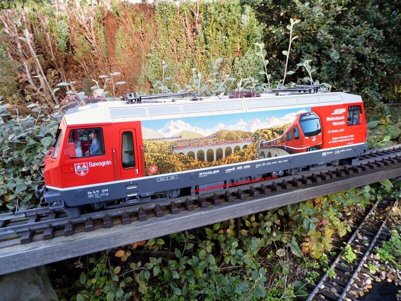 LGB 21431 GE4/4111 Alpine Cruise Locomotive