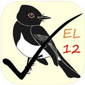 12 1-on-1 Online English Lessons personalised to your needs