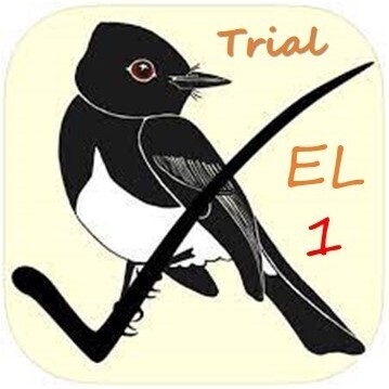 1 Online English Trial Lesson