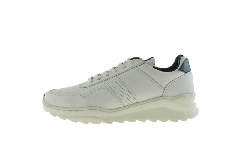 Jenszen sneaker