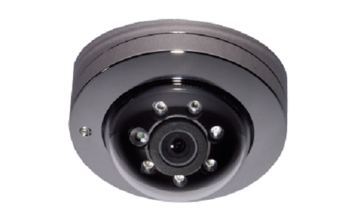 Indoor/Outdoor Vandal-Resistant Mini-Dome Camera Indoor/Outdoor Vandal-Resistant Mini-Dome Camera