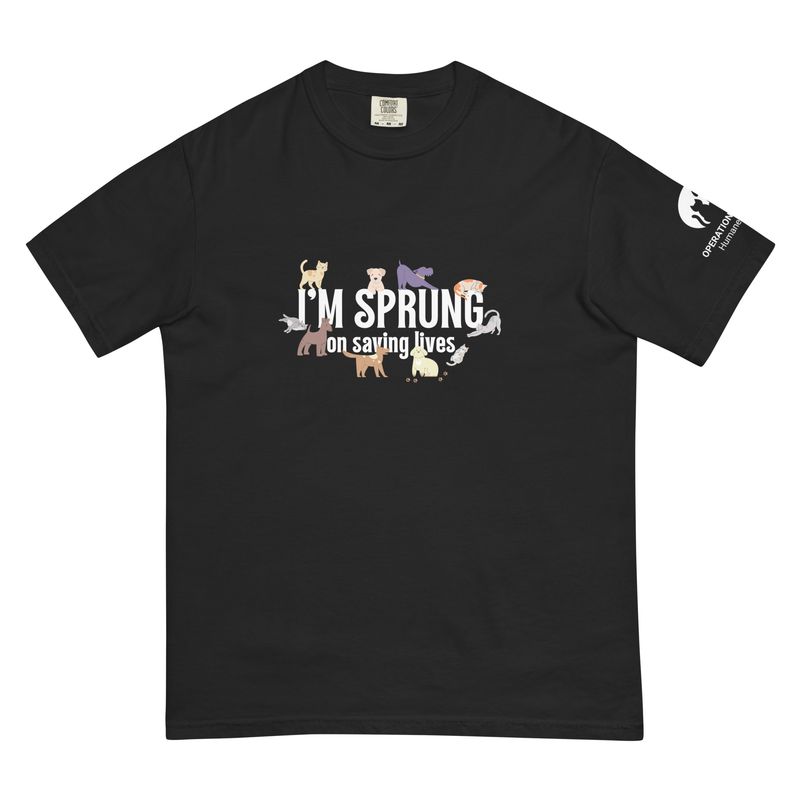 I'M SPRUNG - Comfort Colors - Unisex t-shirt