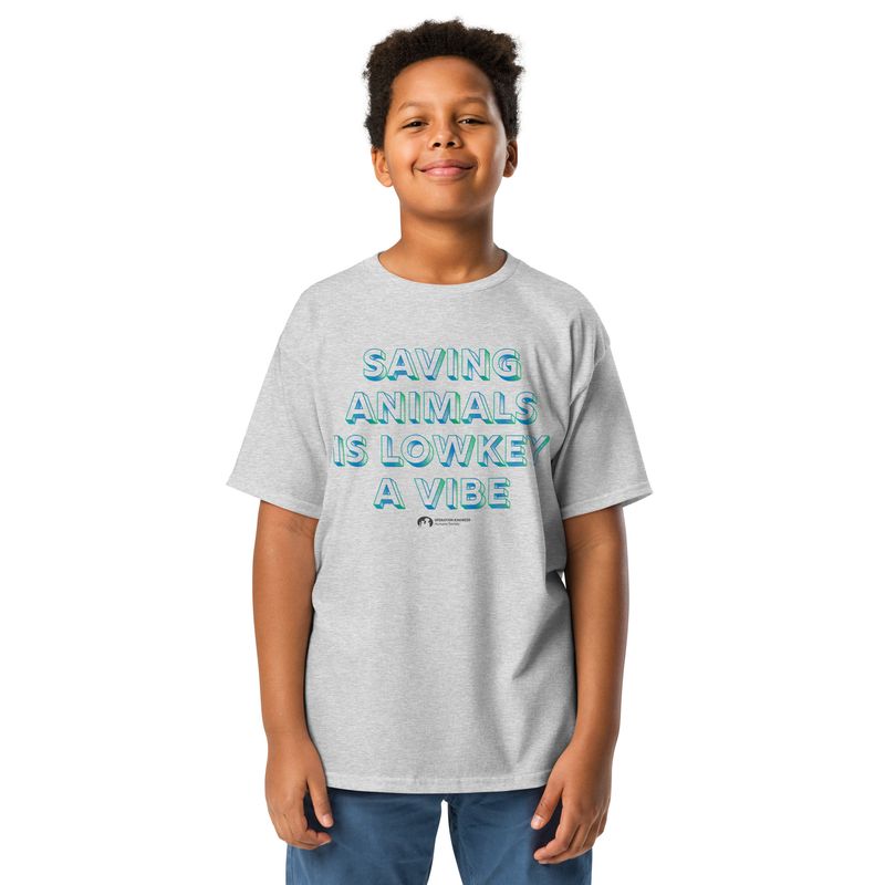 Vibe Youth classic tee