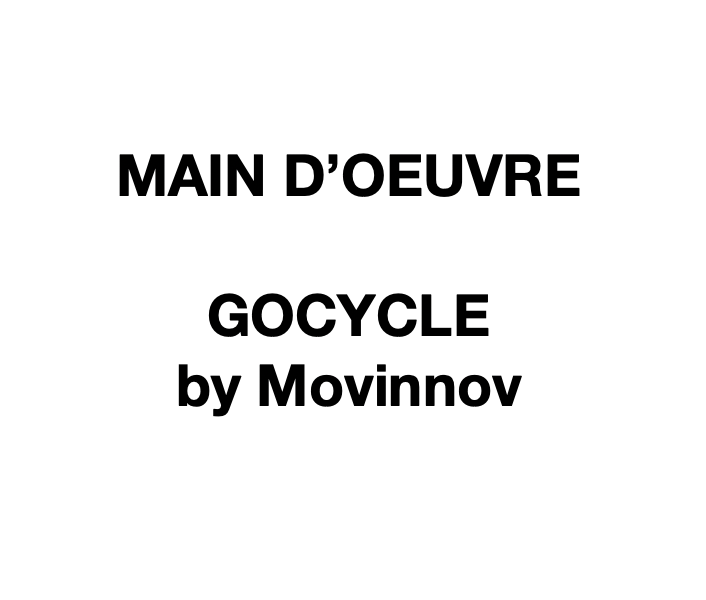 Gocycle Overhaul