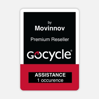 Servizio assistenza Gocycle