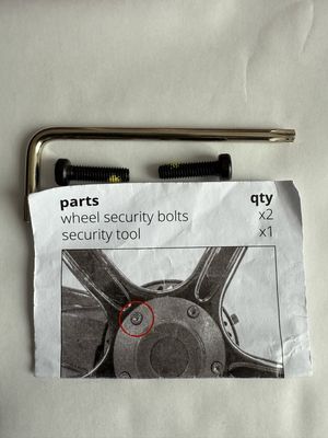 Pack 2 vis antivol et clé Allen spéciale pour jante Gocycle G4