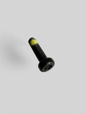 Security screw Gocycle G4