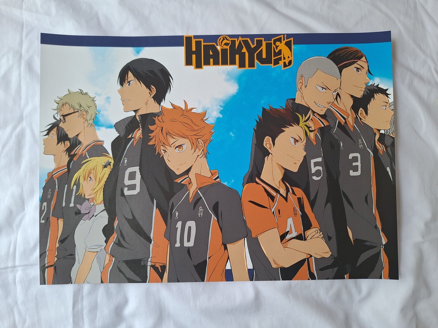 Haikyuu A3 Poster.