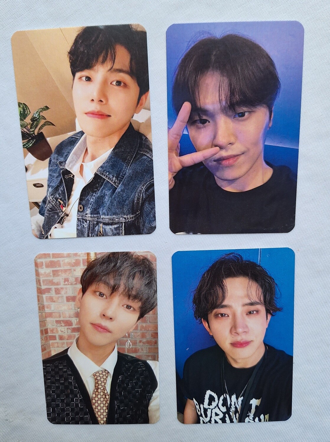 The Rose Selca Photocard set!