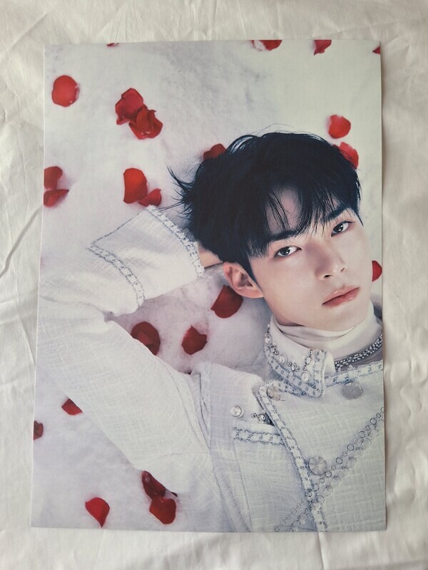 Zerobaseone &#39;Melting Point&#39; Solo A3 Posters!