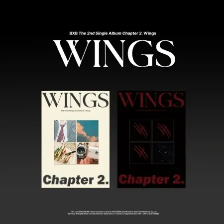 BXB - CHAPTER 2. WINGS (Random)