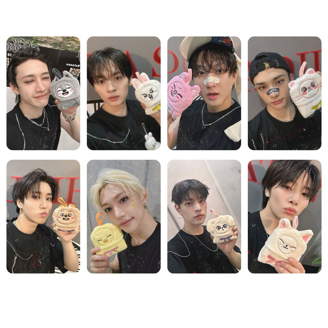 240516 StrayKids Japan Selca Skzoo Photocard Set!
