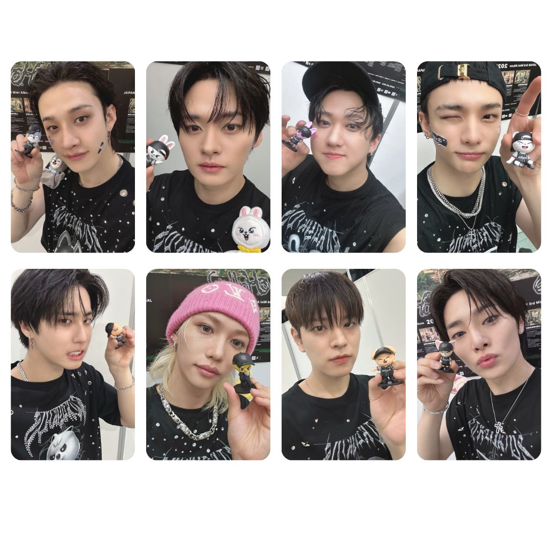 Stray Kids &#39;Skzoo figurine&#39;  Photocard Set!