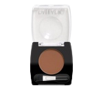 Palladio brow powder auburn pbp02