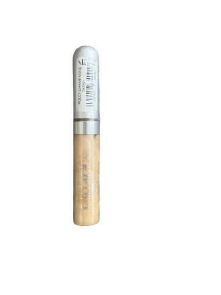 Palladio lip gloss champagne