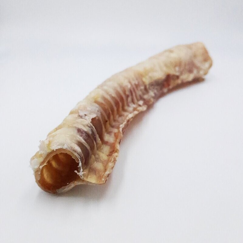 Tráquea de ternera deshidratada - 12cm