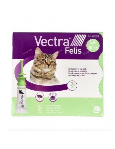 Pipeta Vectra felis 3ud