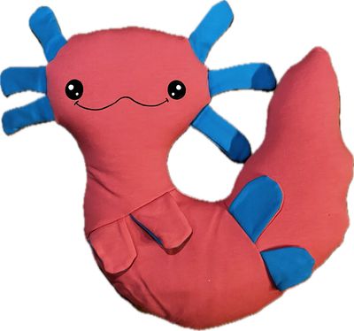 Axi