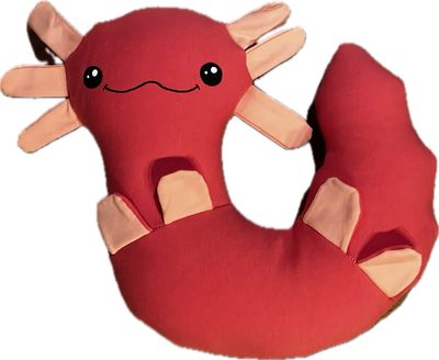 Axi