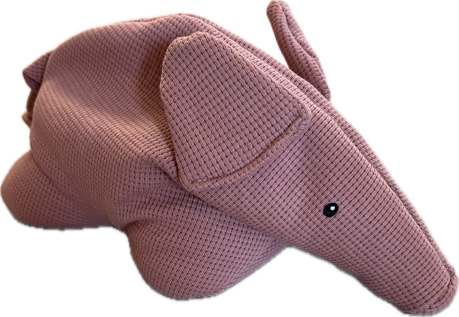 Schwein gefüllt mit Traubenkernen