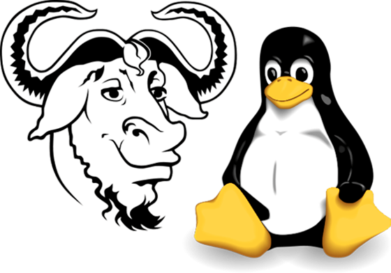 GNU - LINUX