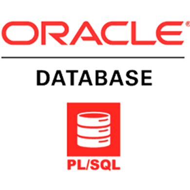 ORACLE PL/SQL