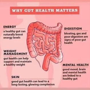 AgeLOC Meta (metabolism reset) + Nu Biome (Gut health drink) bundle with