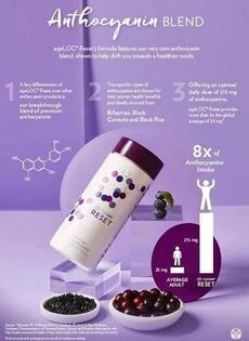 AgeLOC Meta (metabolism reset) + Nu Biome (Gut health drink) bundle with