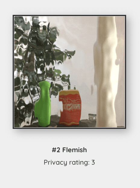 #2 Flemish