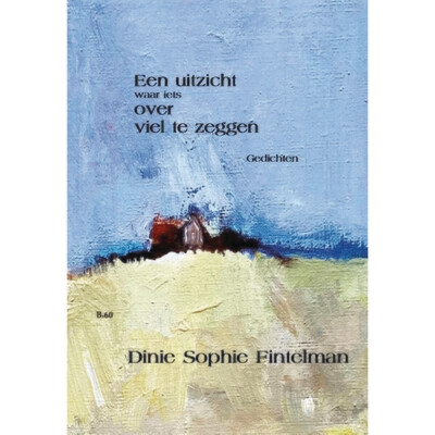 Dinie Sophie Fintelman - Een uitzicht waar iets over viel te zeggen