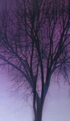 Theo Ruyter - Purple Dream