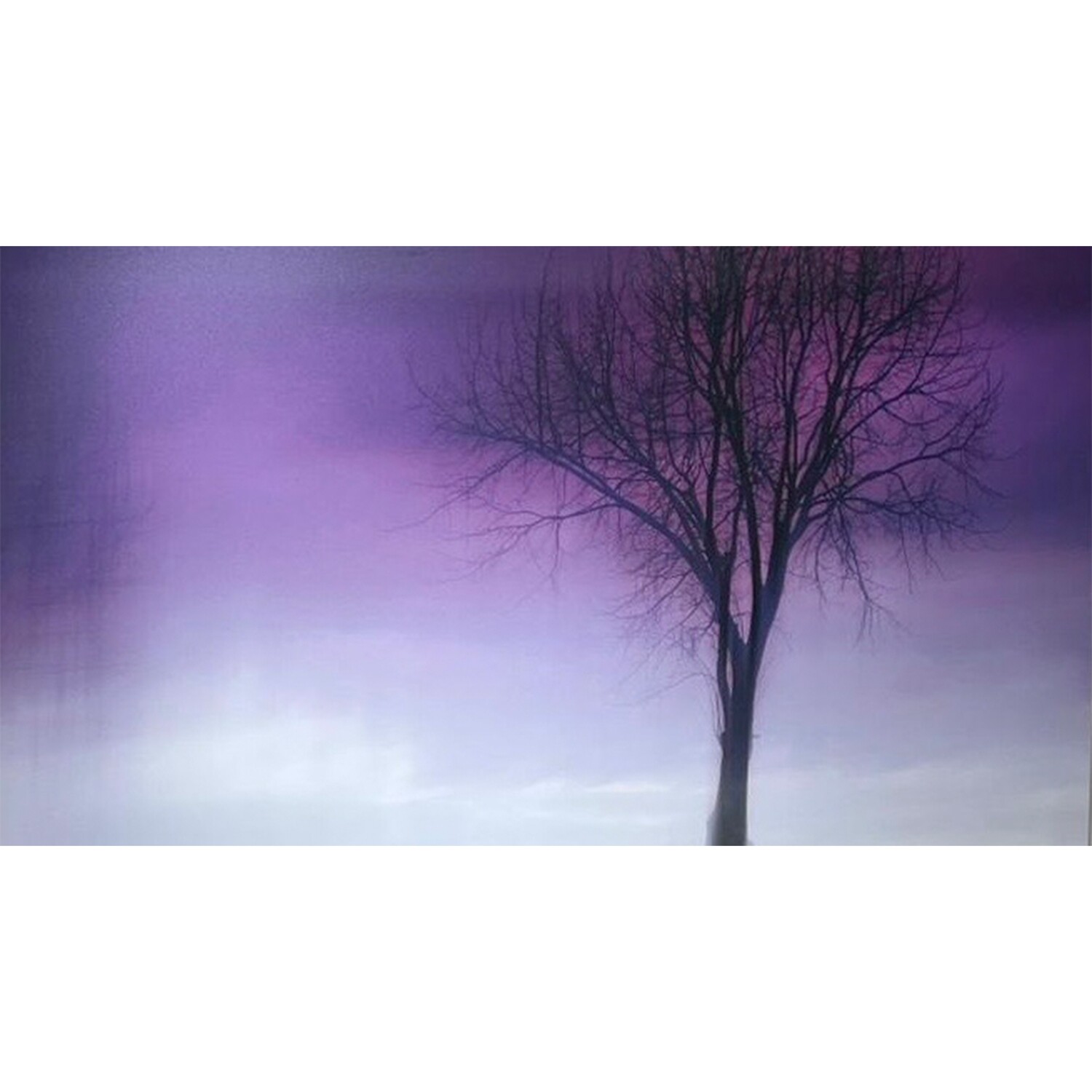 Theo Ruyter - Purple Dream