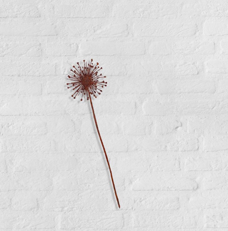Bas en Nicole Berkelmans - Allium