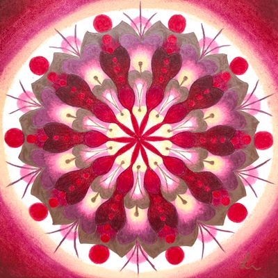 Lysel Art - Mogelijkheden