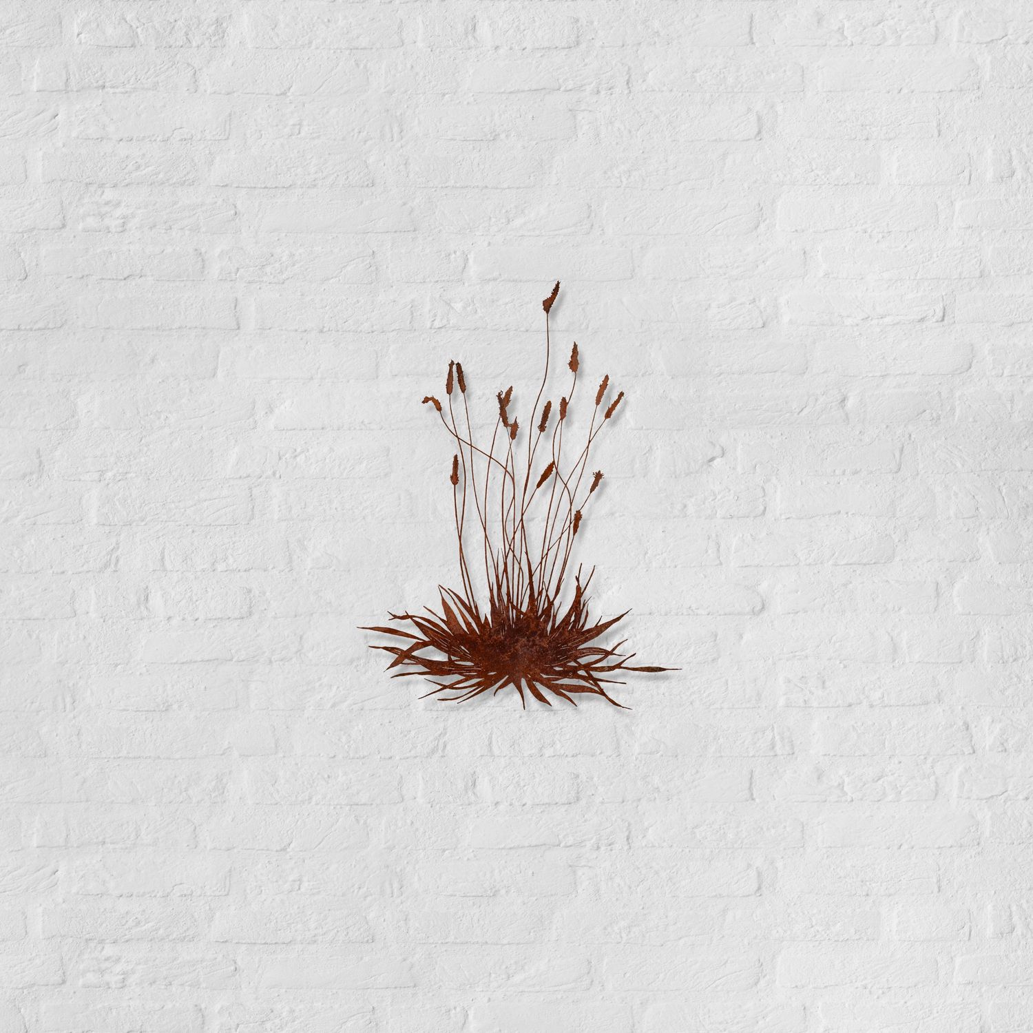 Bas en Nicole Berkelmans - Smalle Weegbree